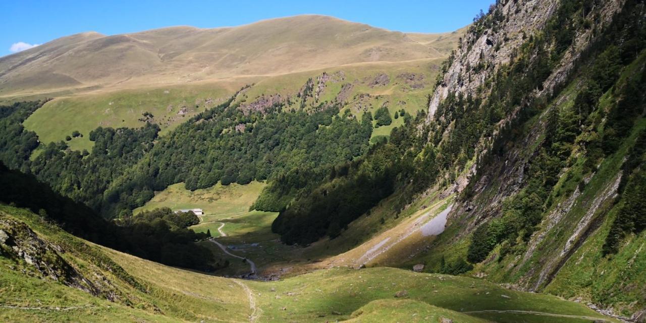 Le 41 Avenue Foch Ξενοδοχείο Bagnères-de-Luchon Εξωτερικό φωτογραφία